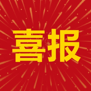鉴黑担保网国际旗下两家企业入选“国度知识产权优势企业”